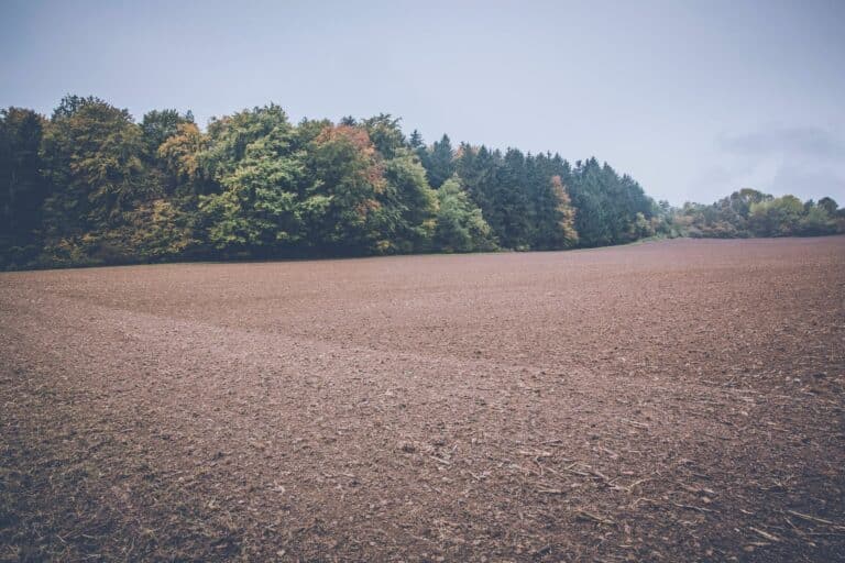 Open rural land bordered by forest under an overcast sky